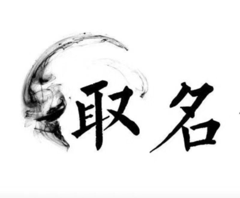  岳西宝宝取名 大师一对一人工起名